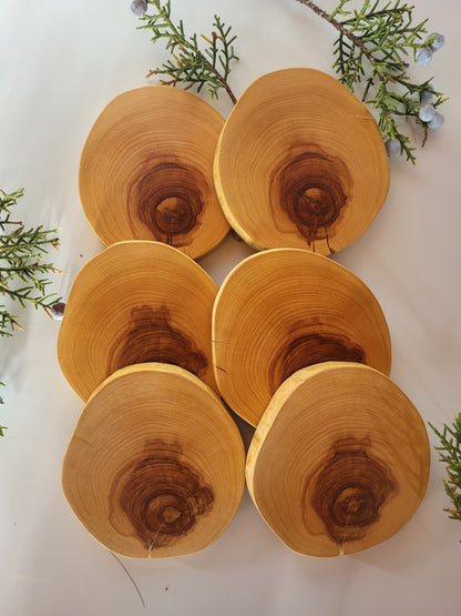 Juniper Wood Coasters